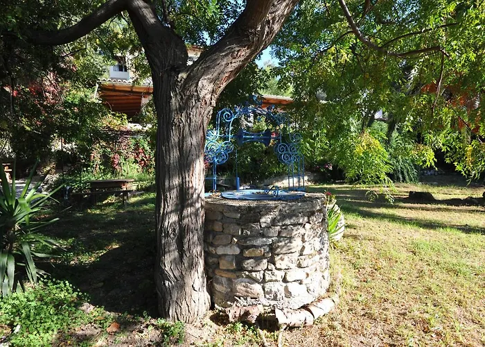 Theodora View Klio *